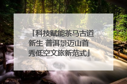 科技赋能茶马古道新生 普洱景迈山首秀低空文旅新范式