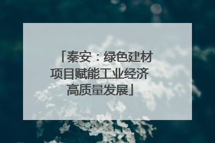 秦安：绿色建材项目赋能工业经济高质量发展