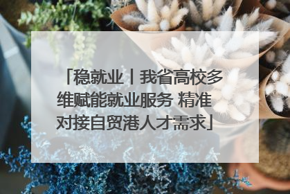 稳就业丨我省高校多维赋能就业服务 精准对接自贸港人才需求