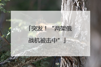 突发！“两架俄战机被击中”