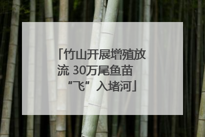 竹山开展增殖放流 30万尾鱼苗“飞”入堵河