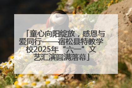 童心向阳绽放，感恩与爱同行——宿松县特教学校2025年“六一”文艺汇演圆满落幕