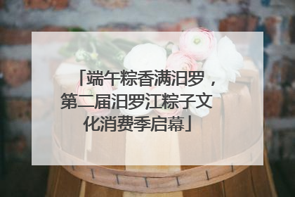 端午粽香满汨罗，第二届汨罗江粽子文化消费季启幕