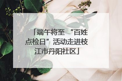 端午将至 “百姓点检日”活动走进枝江市丹阳社区