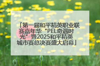 第一届和平精英职业联赛嘉年华“PEL奇遇时光”暨2025和平精英城市赛总决赛盛大启幕