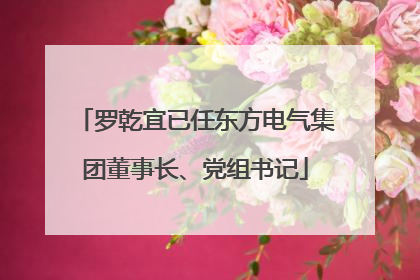 罗乾宜已任东方电气集团董事长、党组书记