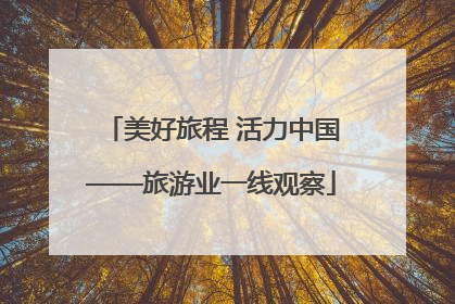 美好旅程 活力中国——旅游业一线观察