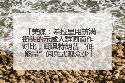 美媒：希拉里用挤满街头的示威人群画面作对比，嘲讽特朗普“低能量”阅兵式观众少
