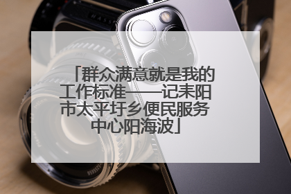 群众满意就是我的工作标准——记耒阳市太平圩乡便民服务中心阳海波