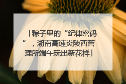 粽子里的“纪律密码”，湖南高速炎陵西管理所端午玩出新花样
