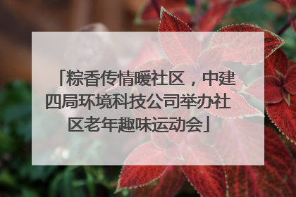 粽香传情暖社区，中建四局环境科技公司举办社区老年趣味运动会
