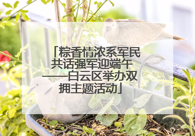 粽香情浓系军民 共话强军迎端午——白云区举办双拥主题活动