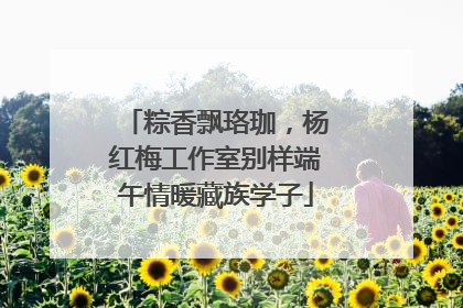 粽香飘珞珈，杨红梅工作室别样端午情暖藏族学子