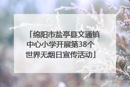绵阳市盐亭县文通镇中心小学开展第38个世界无烟日宣传活动