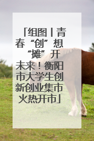 组图丨青春“创”想 “摊”开未来！衡阳市大学生创新创业集市火热开市
