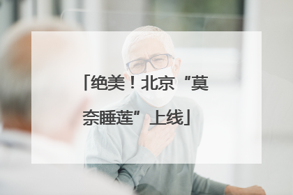 绝美！北京“莫奈睡莲”上线