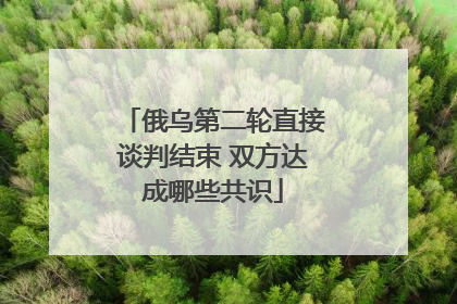 俄乌第二轮直接谈判结束 双方达成哪些共识