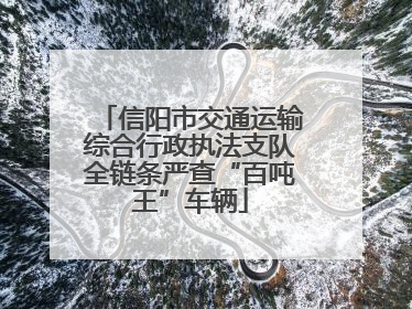 信阳市交通运输综合行政执法支队全链条严查“百吨王”车辆