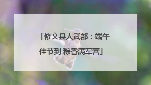 修文县人武部：端午佳节到 粽香满军营
