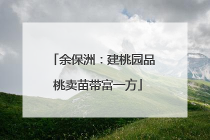 余保洲：建桃园品桃卖苗带富一方