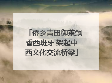 侨乡青田御茶飘香西班牙 架起中西文化交流桥梁