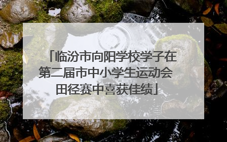 临汾市向阳学校学子在第二届市中小学生运动会田径赛中喜获佳绩