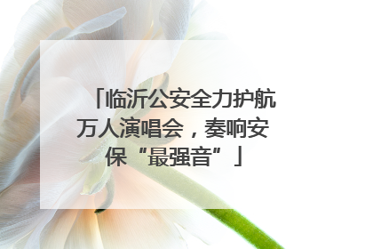 临沂公安全力护航万人演唱会，奏响安保“最强音”