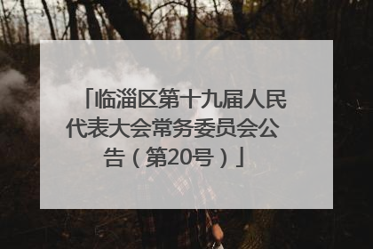 临淄区第十九届人民代表大会常务委员会公告（第20号）