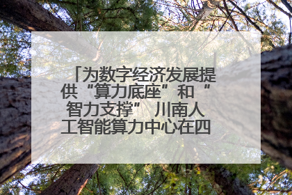 为数字经济发展提供“算力底座”和“智力支撑” 川南人工智能算力中心在四川泸州启动