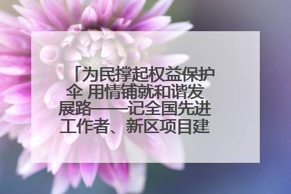 为民撑起权益保护伞 用情铺就和谐发展路——记全国先进工作者、新区项目建设中心干部卢小勇