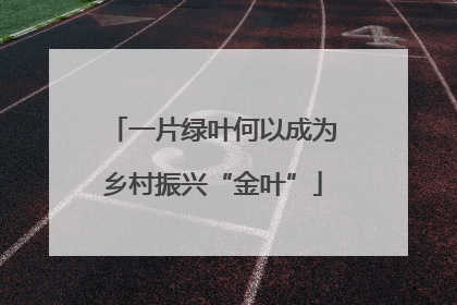 一片绿叶何以成为乡村振兴“金叶”