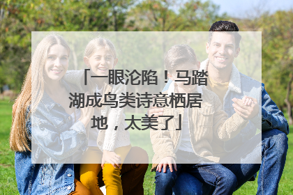 一眼沦陷！马踏湖成鸟类诗意栖居地，太美了