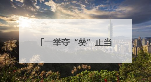 一举夺“葵”正当时——有一种叫云南的生活之365天
