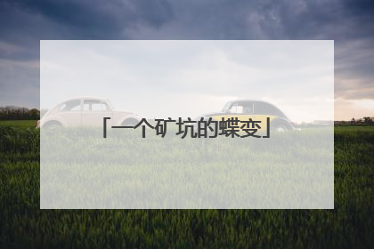 一个矿坑的蝶变