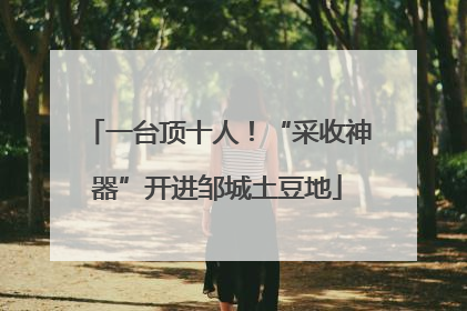 一台顶十人！“采收神器”开进邹城土豆地