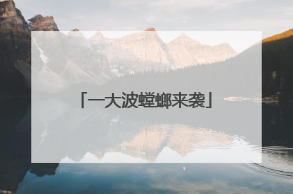 一大波螳螂来袭