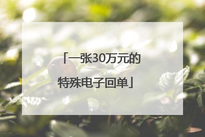 一张30万元的特殊电子回单