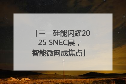 三一硅能闪耀2025 SNEC展，智能微网成焦点
