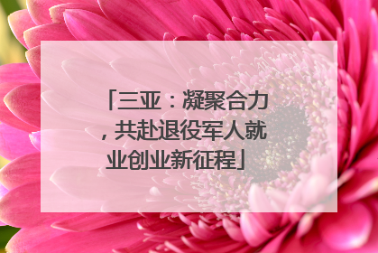 三亚：凝聚合力，共赴退役军人就业创业新征程