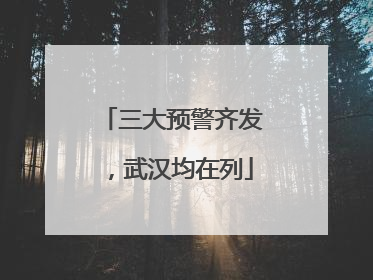 三大预警齐发，武汉均在列