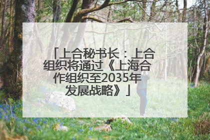 上合秘书长：上合组织将通过《上海合作组织至2035年发展战略》