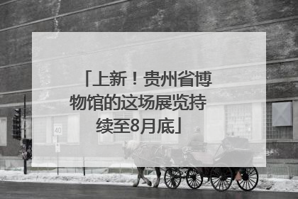 上新！贵州省博物馆的这场展览持续至8月底