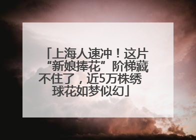 上海人速冲！这片“新娘捧花”阶梯藏不住了，近5万株绣球花如梦似幻