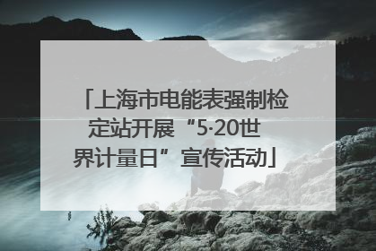 上海市电能表强制检定站开展“5·20世界计量日”宣传活动