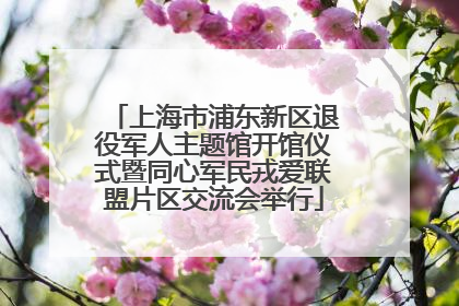 上海市浦东新区退役军人主题馆开馆仪式暨同心军民戎爱联盟片区交流会举行