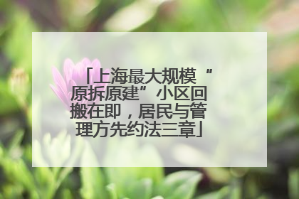 上海最大规模“原拆原建”小区回搬在即，居民与管理方先约法三章
