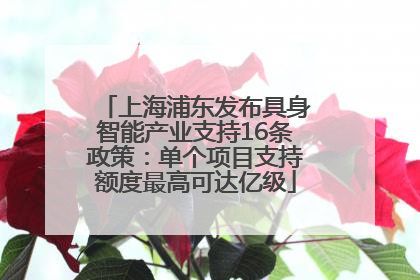 上海浦东发布具身智能产业支持16条政策：单个项目支持额度最高可达亿级