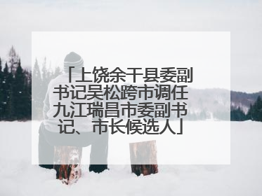 上饶余干县委副书记吴松跨市调任九江瑞昌市委副书记、市长候选人