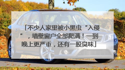 不少人家里被小黑虫“入侵”，墙壁窗户全部爬满！一到晚上更严重，还有一股臭味