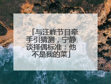 与汪峰节目牵手引猜测，宁静谈择偶标准：他不是我的菜